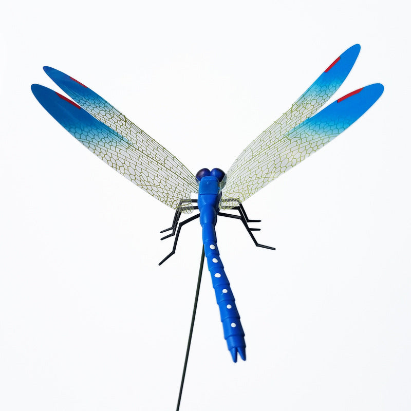 Enchanted Dragonfly Decoration Stickers for Home and Garden